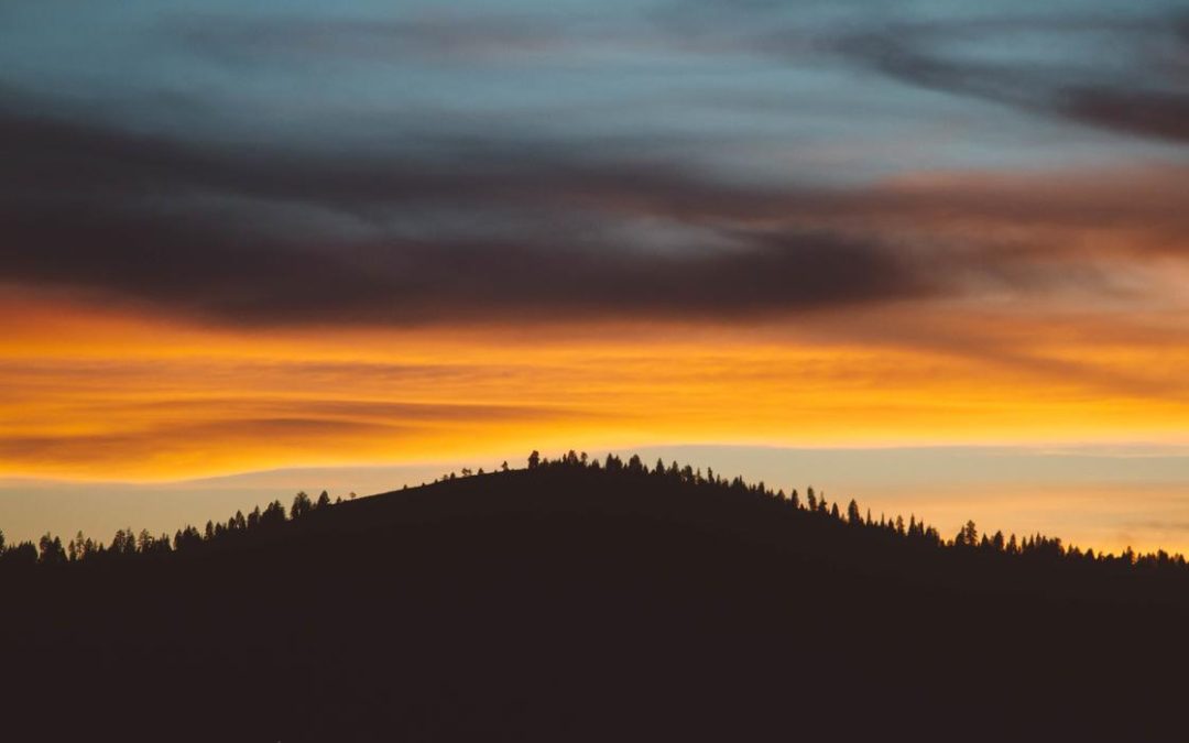 Illo eum cupiditate fuga molestias