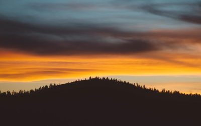 Illo eum cupiditate fuga molestias