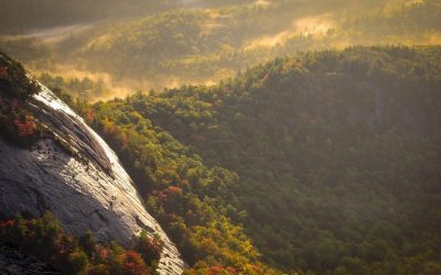 Alias nihil perferendis tempore